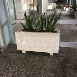 Urban furnishing at “Sacro cuore di Gesu’” hospital