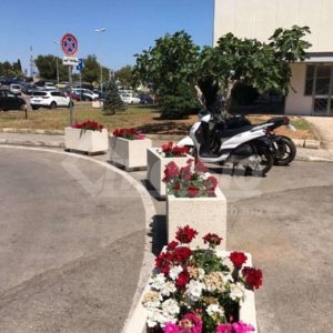 Urban furnishing at “Sacro cuore di Gesu’” hospital