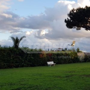 Palace green spaces in Rome